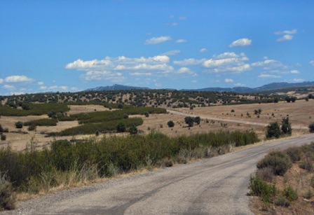 Spagna - Sierra de la Culebra Spagna - Sierra de la Culebra